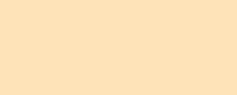 Rosco Laboratories E-Colour+ 223 21" x 24" Sheet of 1/8 CT Orange Daylight Conversion Gel E-COLOUR-223-SHEET