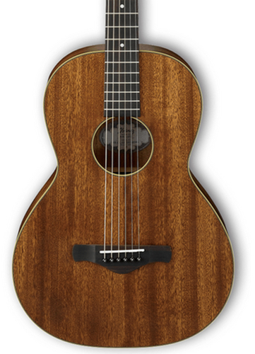 Ibanez AVN5 Vintage Acoustic Guitar with Open Pore Natural Finish AVN5OPN