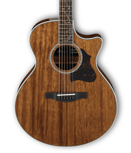 Ibanez AE245 Acoustic Electric Guitar - Natural High Gloss AE245NT
