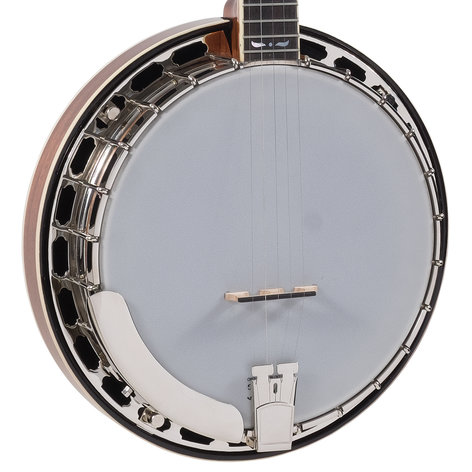 Recording King RK-R36 Madison Series Gloss Brown Resonator Banjo with Mastertone-Style Tone Ring RK-R36-BR