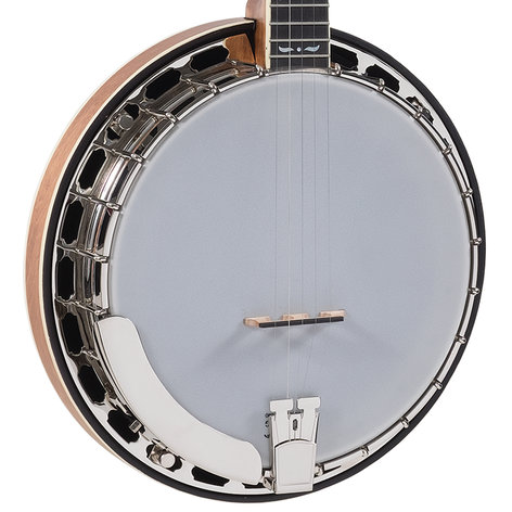 Recording King RK-R35 Madison Series Brown Satin Resonator Banjo with Mastertone-Style Tone Ring RK-R35-BR