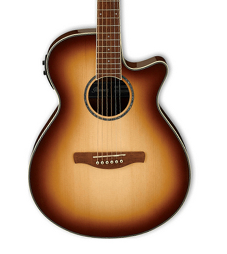 Ibanez AEG10II AEG Series Electric/Acoustic Guitar AEG10II