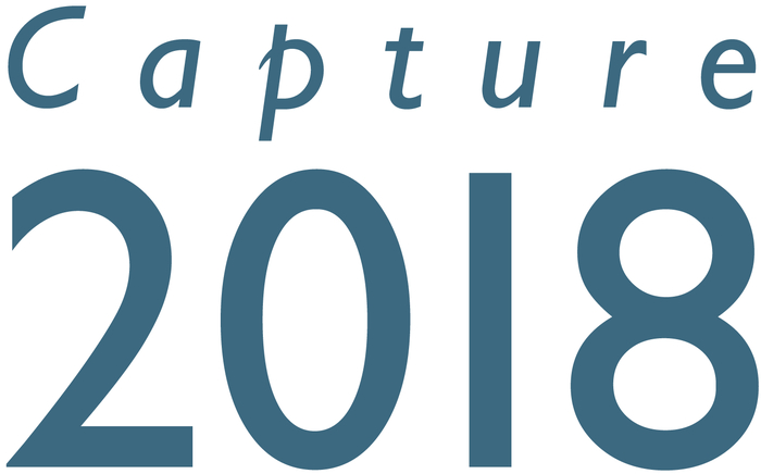 Capture Visualization Capture 2018 Quartet Edition Lighting Design And Visualization Software, 4 Universe License