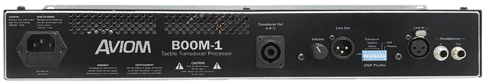 Aviom BOOM-1 Tactile Transducer Processor, DSP And Amplifier, 2RU