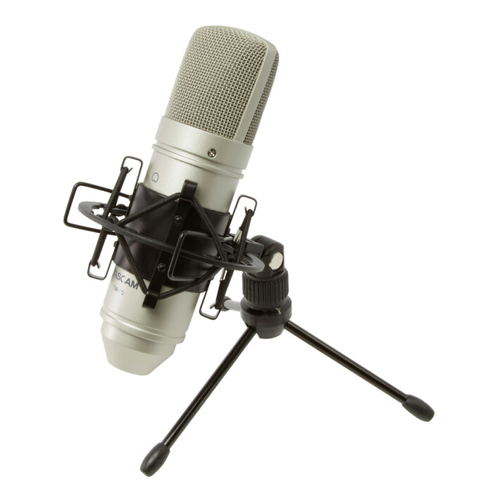 Tascam TM-80 Cardioid Condenser Microphone