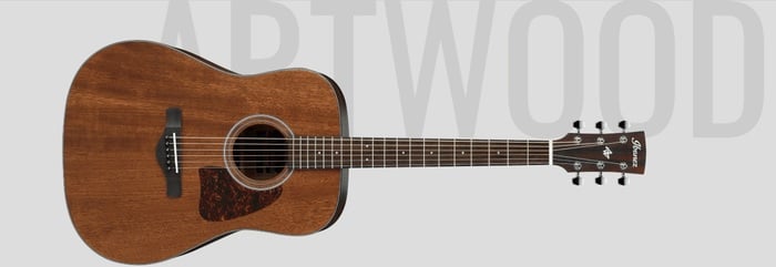 Ibanez AW54CEOPN Open Pore Natural Artwood Series Dreadnought Cutaway Acoustic/Electric Guitar With AEQ210TF Preamp