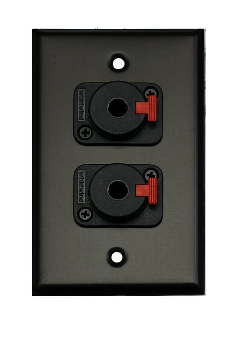 Whirlwind WP1B/2QW Single Gang Wallplate With 2 Whirlwind WCQF 1/4" Jack, Black