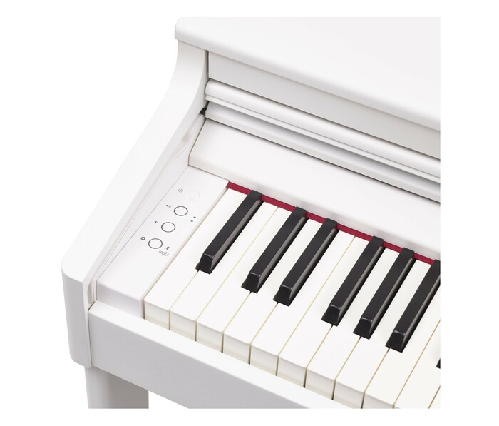 Roland RP-701 88-Key Digital Piano W/ SuperNATURAL Modeling