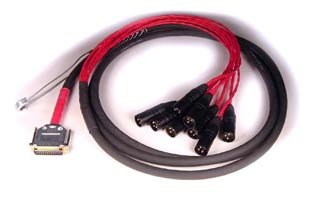 Avid DigiSnake 12 ft. DB25 to XLR-M Input Snake (9940-29648-00) DIGISNAKE-XLRM