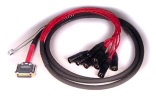 Avid DigiSnake DB25-XLRM Analog Snake Cable - 12'''' 8-Channel DB25 Male To XLR Male, 12' Length