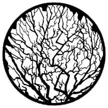 Rosco 79119 Steel Gobo, Winter Tree 2