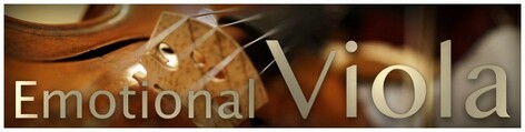 Best Service Emotional Viola Crossgrade Crossgrade For Owners Of Emotional Cello Or Violin [Virtual]