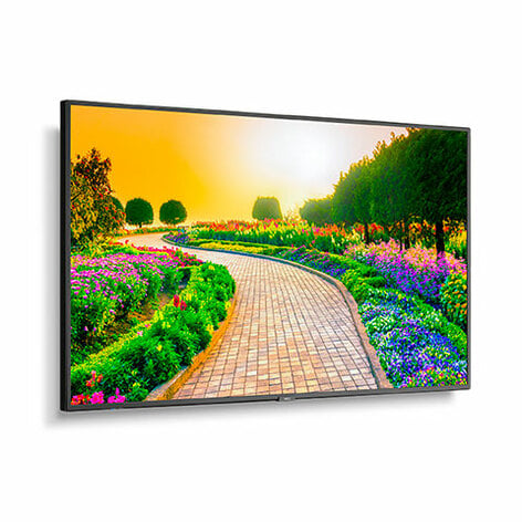 NEC M431 MultiSync 43" Class HDR 4K UHD Commercial IPS LED Display