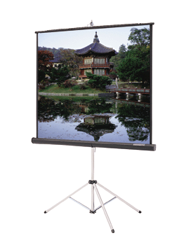 Da-Lite 69901 84" x 84" Picture King® Matte White Screen with Keystone Eliminator 69901
