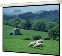 Da-Lite 96388 123" x 164" Large Cosmopolitan Electrol® Matte White Screen 96388