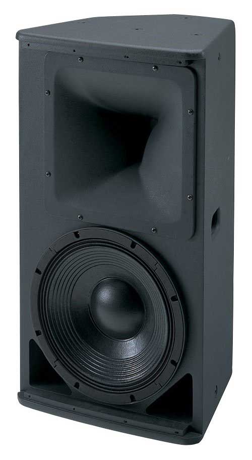 12" 2-Way Full Range Speaker