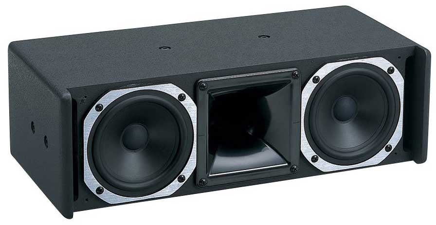 5" Two-Way Full Range Speaker
