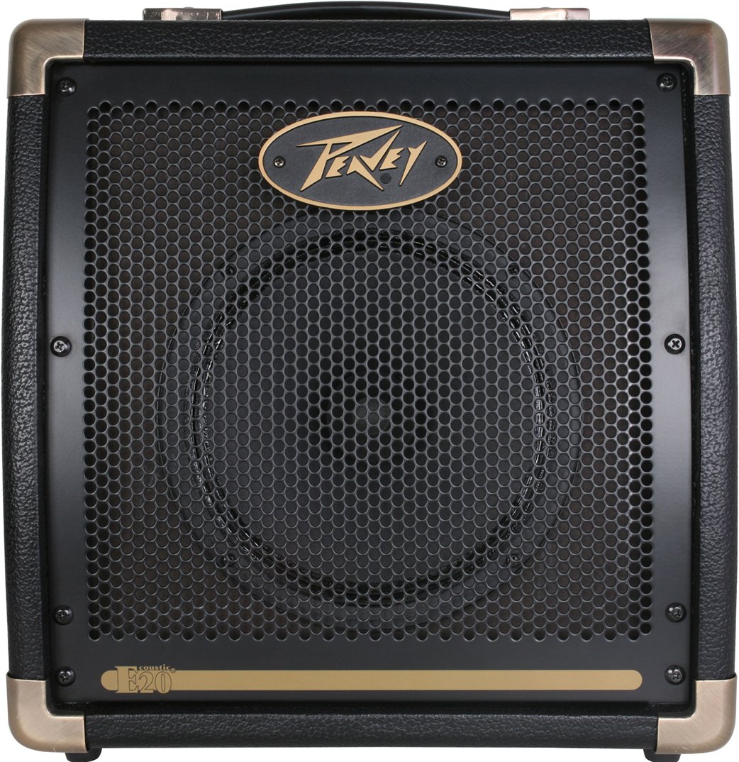 2-Ch 20W 1x8" Acoustic Guitar Amplifier