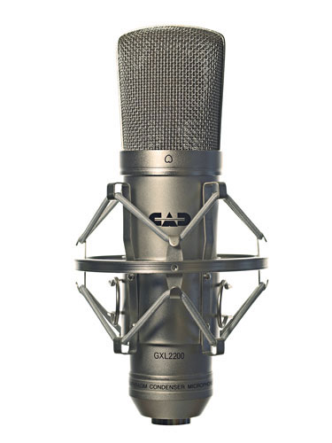 Cardioid Large Diaphragm Condenser Mic, Silver