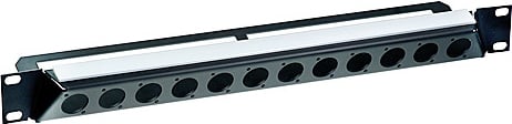 19", Angled Rack Panel with 12 D-Shape Cut-Outs