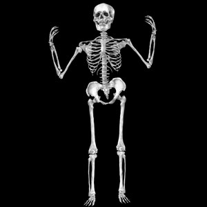 Glass Gobo, Skeleton