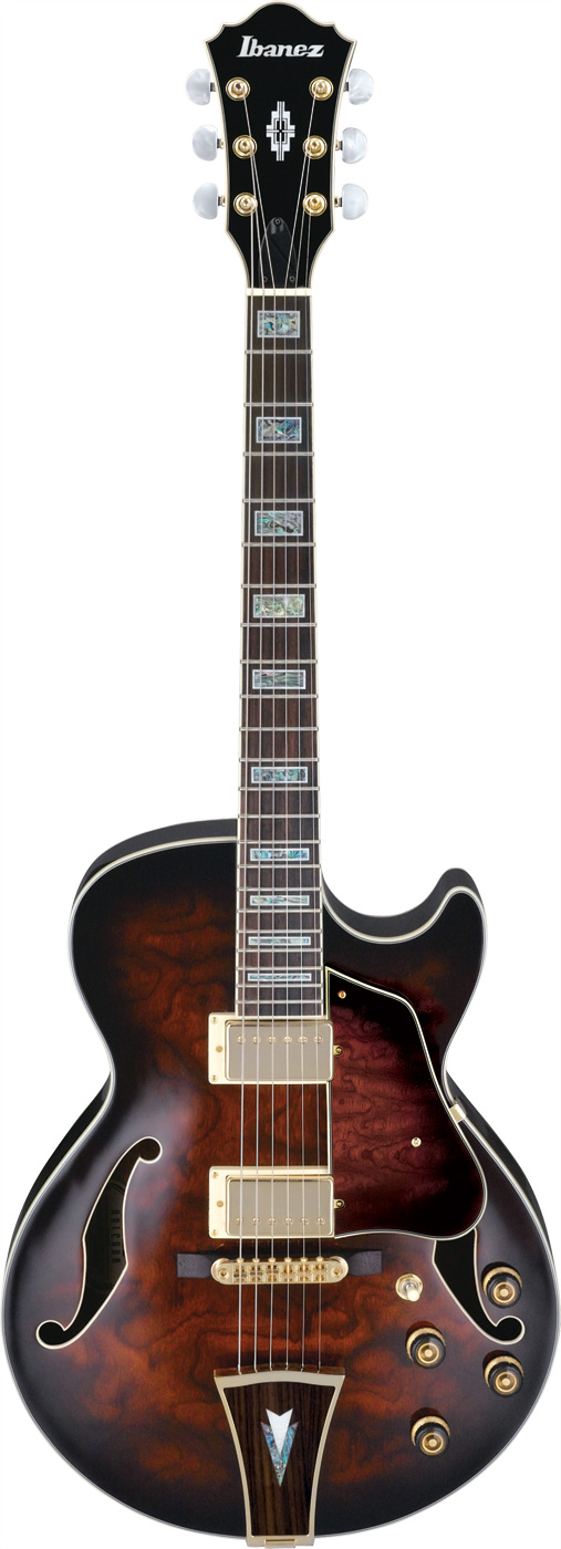 Electric Guitar DarkBrown Sunburst