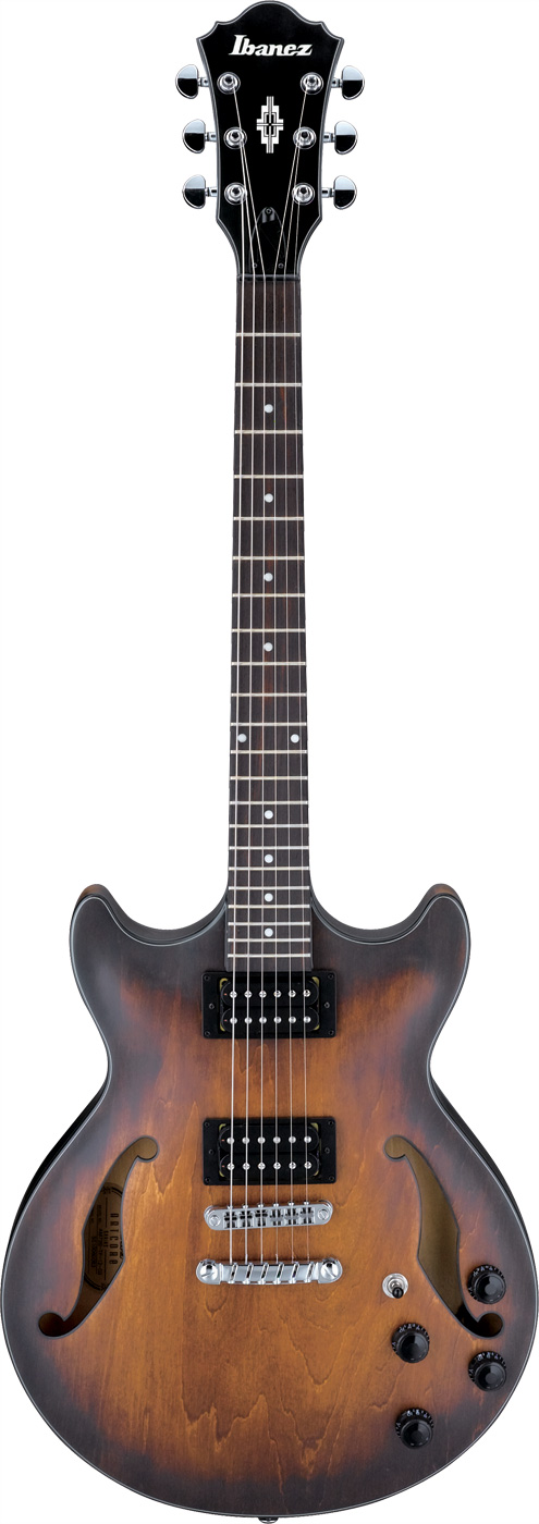 Electric Guitar, Artcore Hollowbody