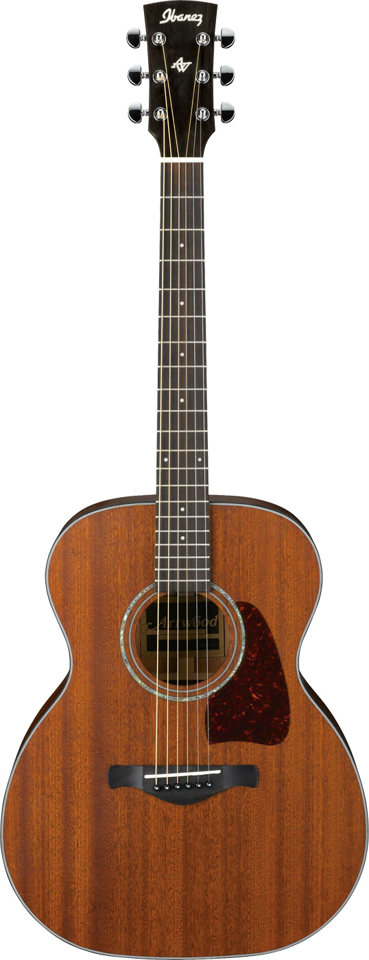 Acoustic Guitar, Grand Concert