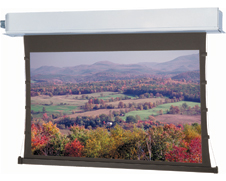 52" x 92" Tensioned Advantage Electrol® High Contrast Da-Mat™ Screen