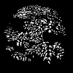 Steel Gobo, Foliage Forest