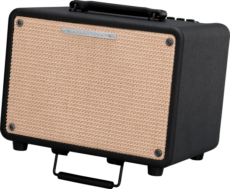 2-Ch 30W 1x8" Acoustic Guitar Amplifier