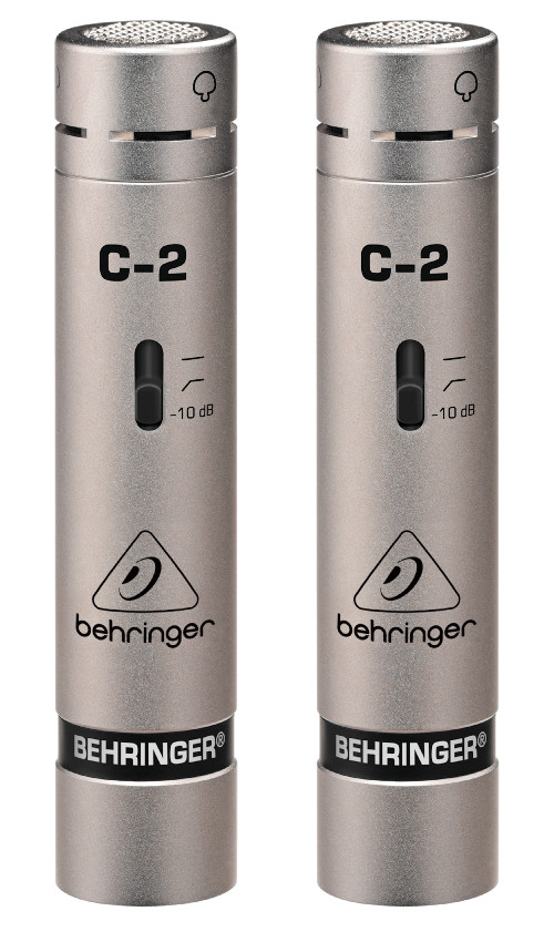 1 Pair of Studio Condenser Microphones