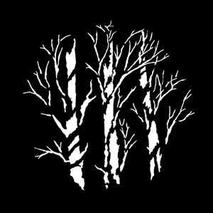 Steel Gobo, Winter Trees