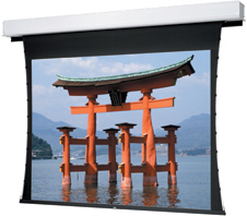 45" x 80" Tensioned Advantage Electrol® High Contrast Da-Mat™ Screen