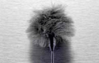 Miniature Grey Fur Windjammer For 4071