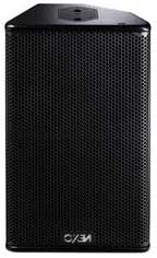 10" 2-Way Loudspeaker with Horn on Right in Monitor Position