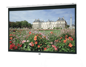 50" x 67" Deluxe Model B® Video Spectra 1.5 Projection Screen