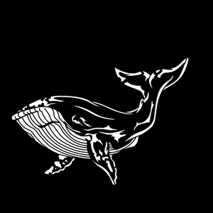 Steel Gobo, Sea Whale