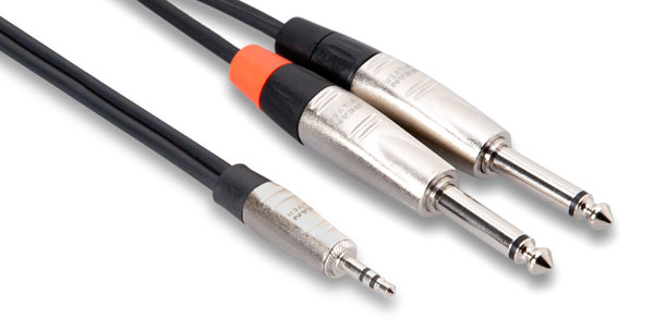 REAN 3.5mm TRS to Dual 1/4 in, 3ft