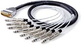 10 ft. DB25 Multipin to 8 x 1/4" TRS Phone Plugs