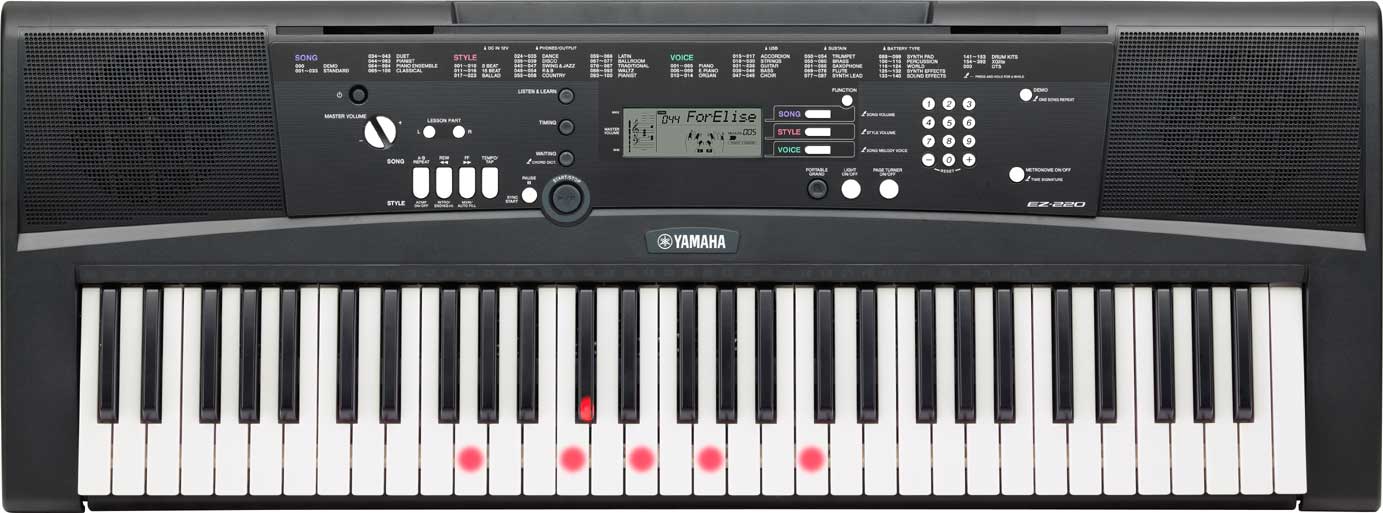 61-Key Touch-Sensitive Keyboard with Lighted Keys