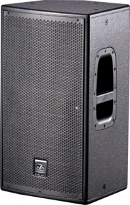 12" 2-way Multipurpose Speaker