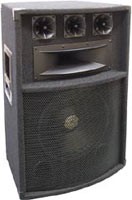 12" 5-way Passive Speaker Cabinet