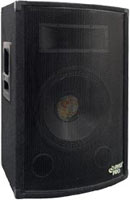 15" 2-way Passive Speaker Cabinet