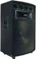 15" 6-way Passive Speaker Cabinet