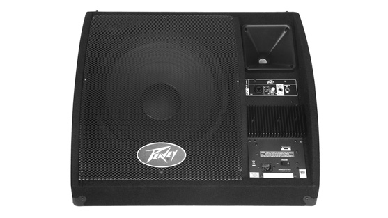 Two-Way Powered Monitor