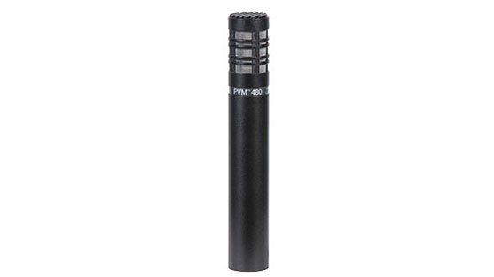 Super-Cardioid Condenser Microphone