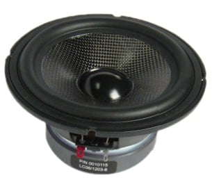 EAW Woofer