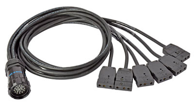 6' LSC19 Male to (6) 20 Amp Female Stage Pins Breakout Cable