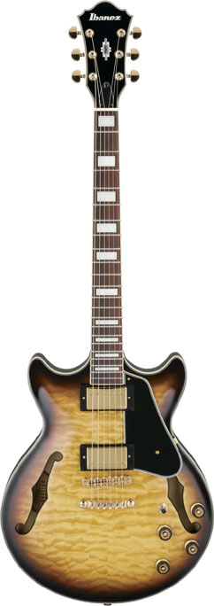 AM Series Hollow Body Electric Guitar in Antique Yellow Sunburst
